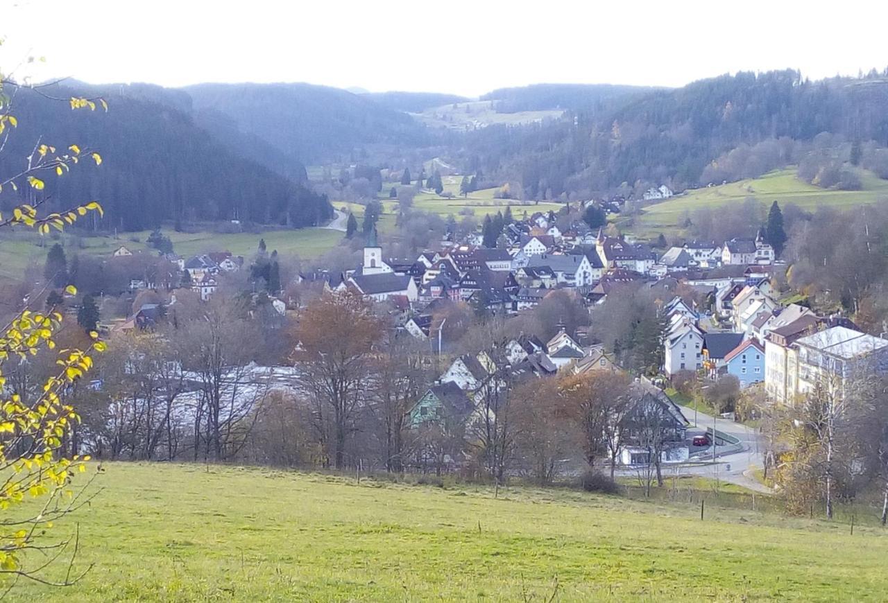 Ferienwohnung Waldrast Lenzkirch Exterior foto